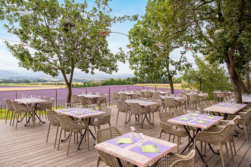 Camping Clicochic - Bastets