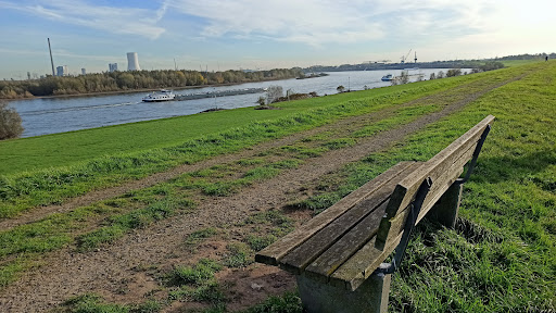 Rheinvorland im Orsoyer Rheinbogen - Thumbnail