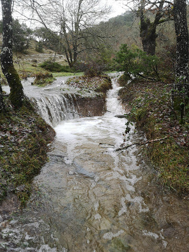Sendas Iturgoi - Visual