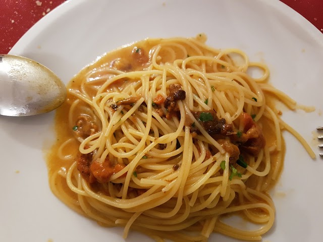 Ricciomania