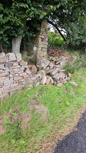 RGN Walling - Visual