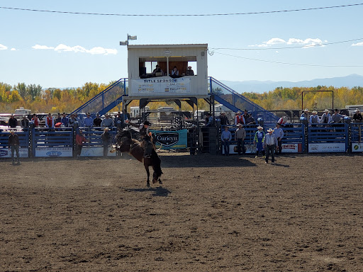 Fair Grounds - Visual