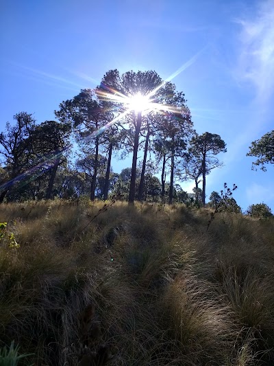 Photos of Cerro El Tecolote