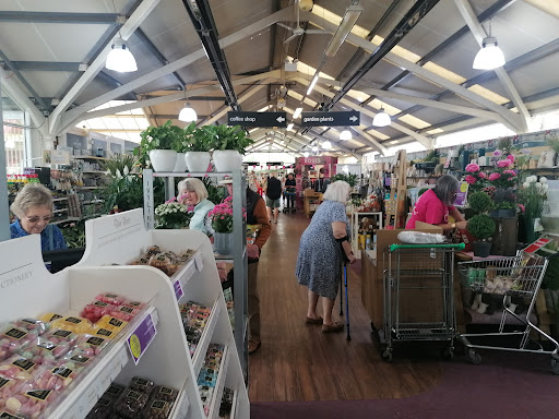 Stringers Garden Centre - Visual