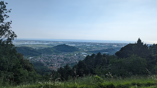 View direction west - Visual