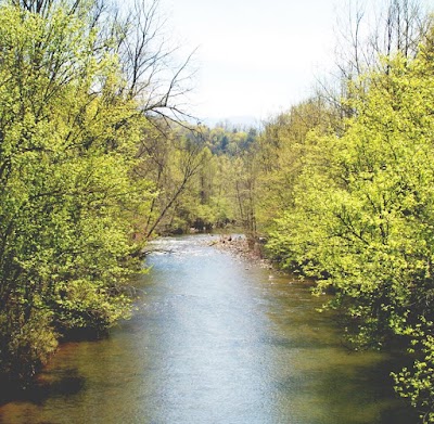 Rafting In the Smokies