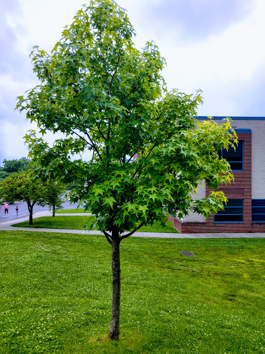 Sheridan Terrace Elementary - Thumbnail