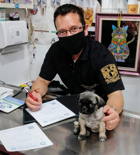 Veterinaria Villa Cannes