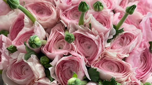 Cutin Blumen - Visual