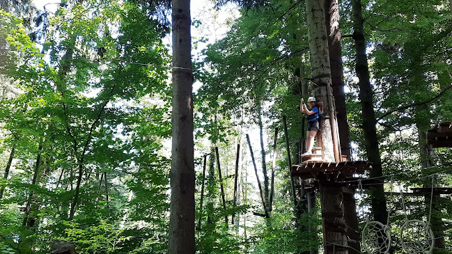 Rezensionen über Kletterwald Prien am Chiemsee in Wald - Fitnessstudio