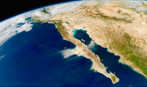 Sazzon Baja Mex Gallery - United States