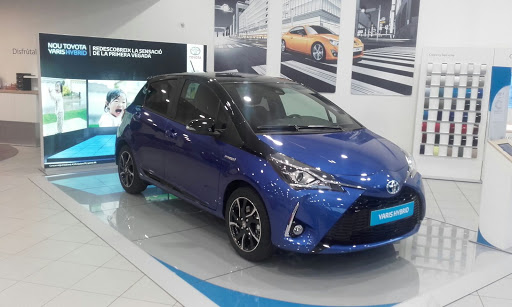 Concesionario Oficial TOYOTA - Ippon Motor Vallés - Thumbnail