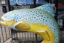 Tuckaseegee Fly Shop, Bryson City, United States