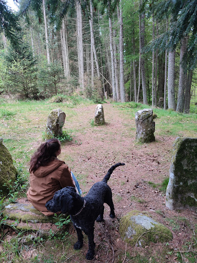 Glassel Stone Circle - Thumbnail