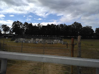 Photos of Finca cienaguilla