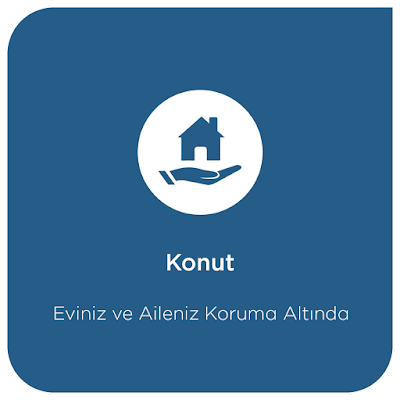 insurance-agency