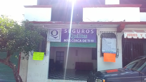 Seguros Quálitas y Gestoría Vehicular - Thumbnail