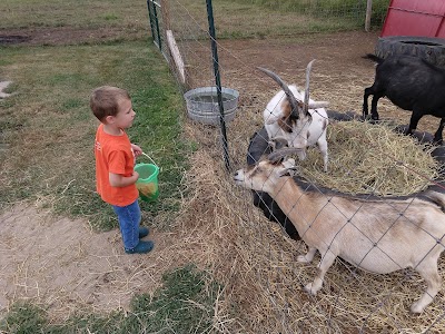 Timber Creek Petting Farm