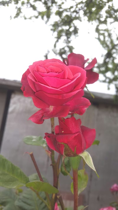 Photos of سوپه&zwnj;رمارکێت رێوان