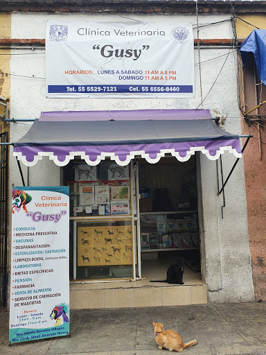 CLINICA VETERINARIA "Gusy"