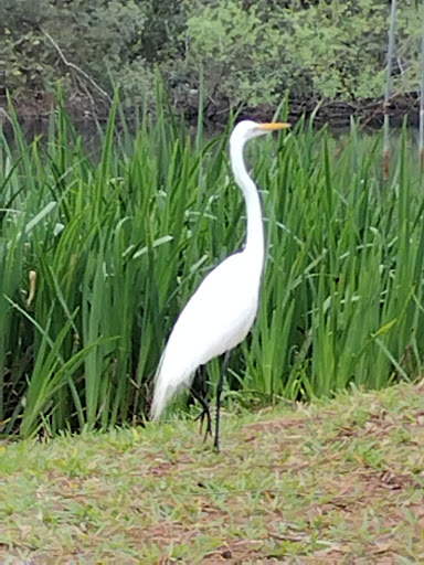 Macclenny Memorial Park