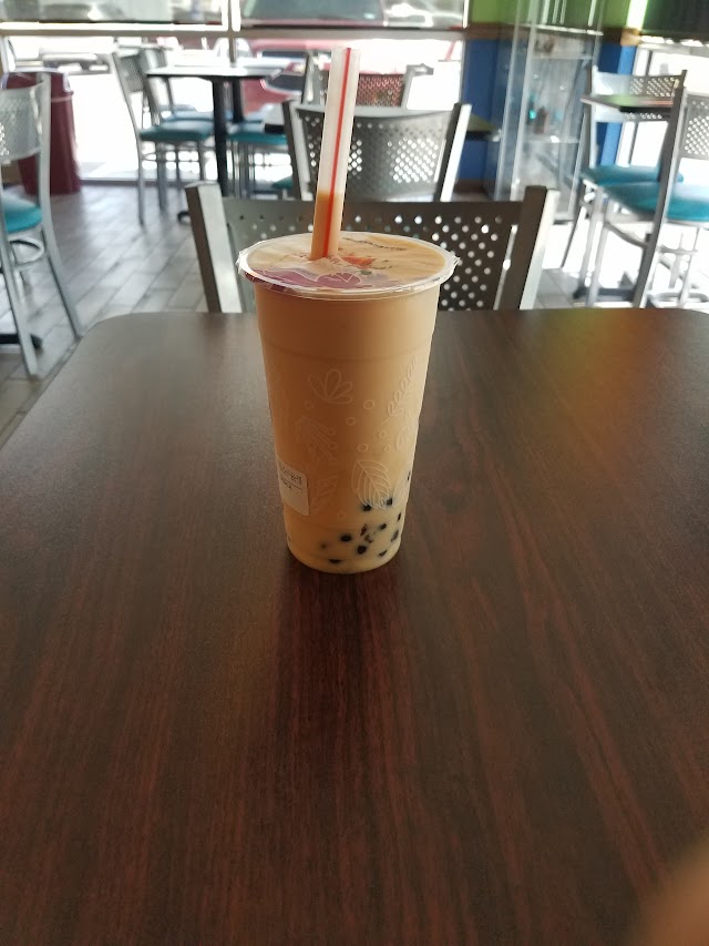 Tapioca Master