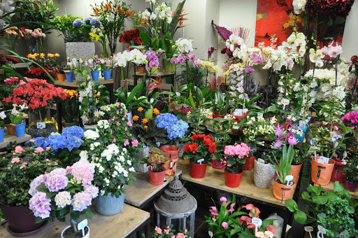 Des fleurs, des fleurs etc... - Thumbnail