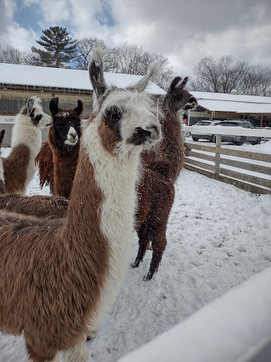 Dakota Ridge Farm, LLC - Thumbnail