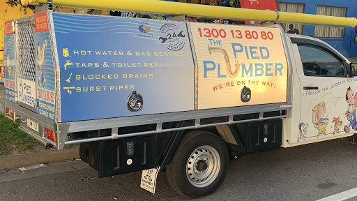 The Pied Plumber - Thumbnail