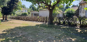 Photo n°5 de weiss elagage | elagueur bagnols sur seze à Bagnols-sur-Cèze (Service d'élagage)