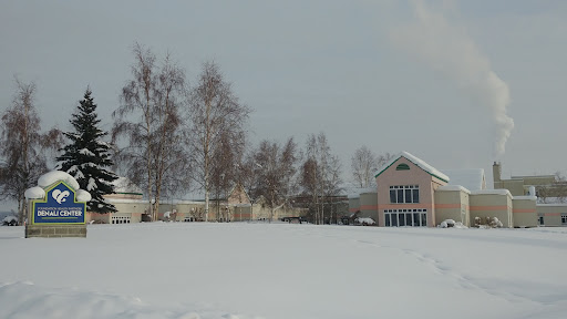 Denali Center - Visual