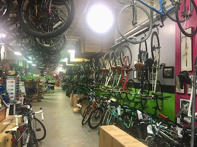 Bikenetic Full Service Bicycle Shop