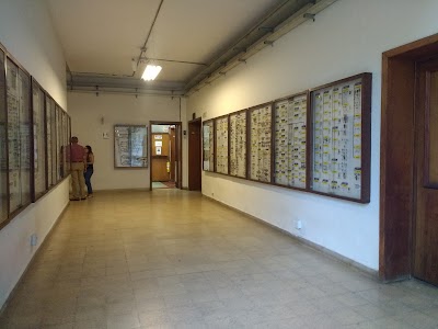 Photos of Museo de Entomologia Francisco Luis Gallego