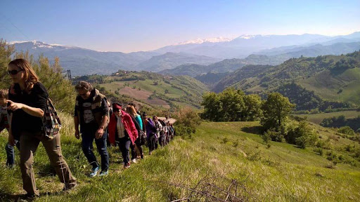Le Marche Experience - Visual