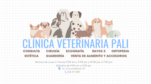 Clinica Veterinaria Pali