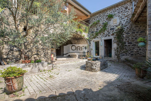 Photo de Sous un olivier à Lablachère (07230)
