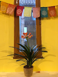 Photo n°11 de Yoga Shala Dordogne à Alles-sur-Dordogne (Professeur de yoga)