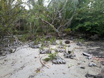 Photos of Bakung Island