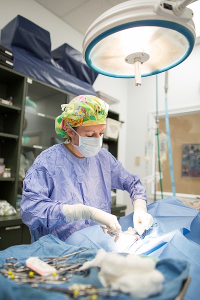 Photos of All-Star Veterinary Clinic
