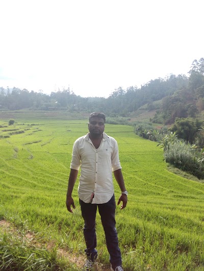 Photos of Boralanda Farm