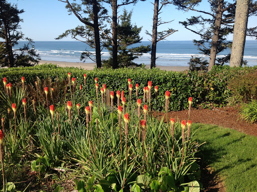 Tyee Lodge Ocean Front Bed & Breakfast - Thumbnail