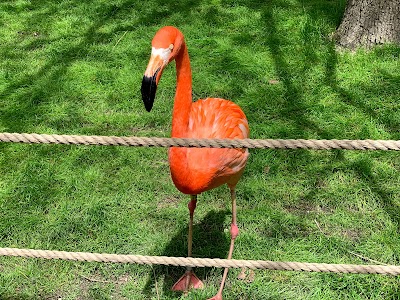 World of Birds Aviary