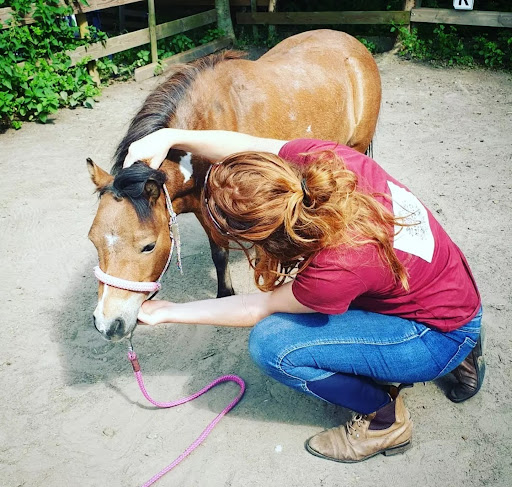 Dierenfysiotherapeut & Hondenosteopaat / dierenosteopaat i.o - Thumbnail