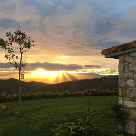 Ayda Bağları Winery & Vineyards by null