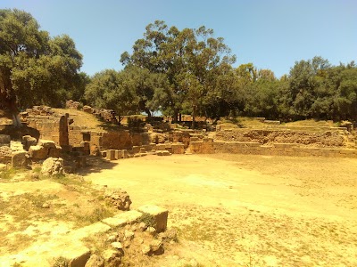Photos of Forum