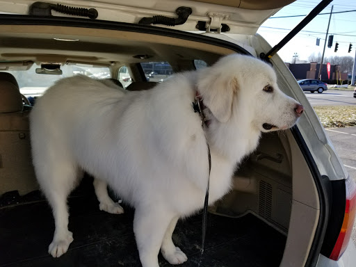 Zen Grooming (Previously The Red Dog Salon)