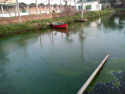 Photos of Monoara Market