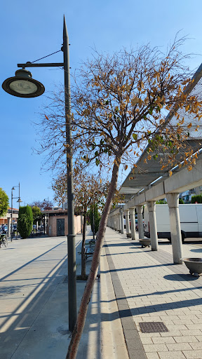 Bulevar Sur - Visual