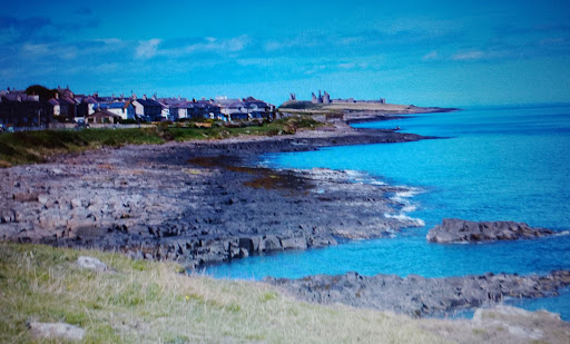 Muckle Carr - Visual
