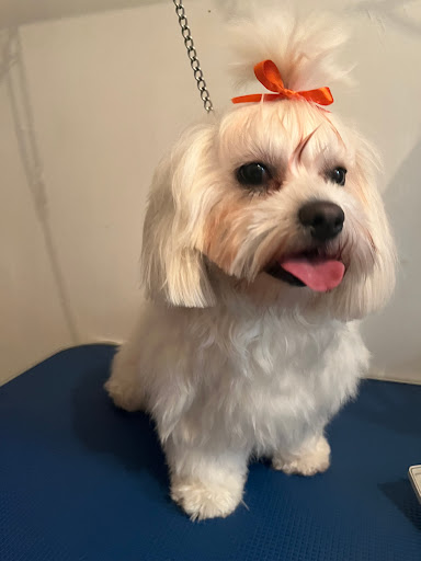 VETERINARIA FRANCO